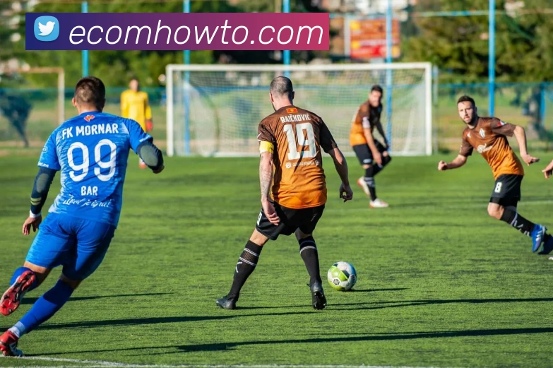 米兰app官网登录服务体系